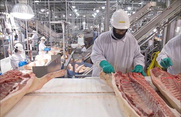 Bacon Production | APG Sensors