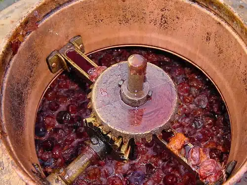vat of crushed plums